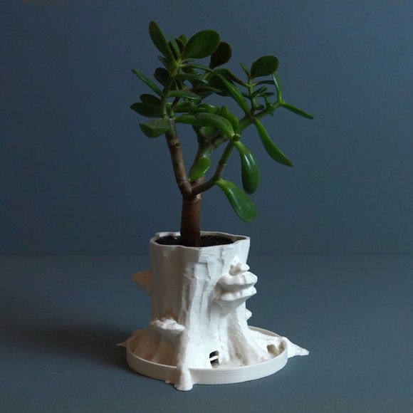 Sylvatica Tree Planter Decor for Dinner Table, Party, Living Room, Bedroom - Picture 1 of 8